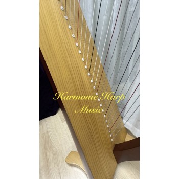 2nd Hand Salvi Titan 38 Strings Lever Harp 2nd Hand Salvi Titan 38 Strings Lever Harp